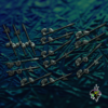 spears and halberds
